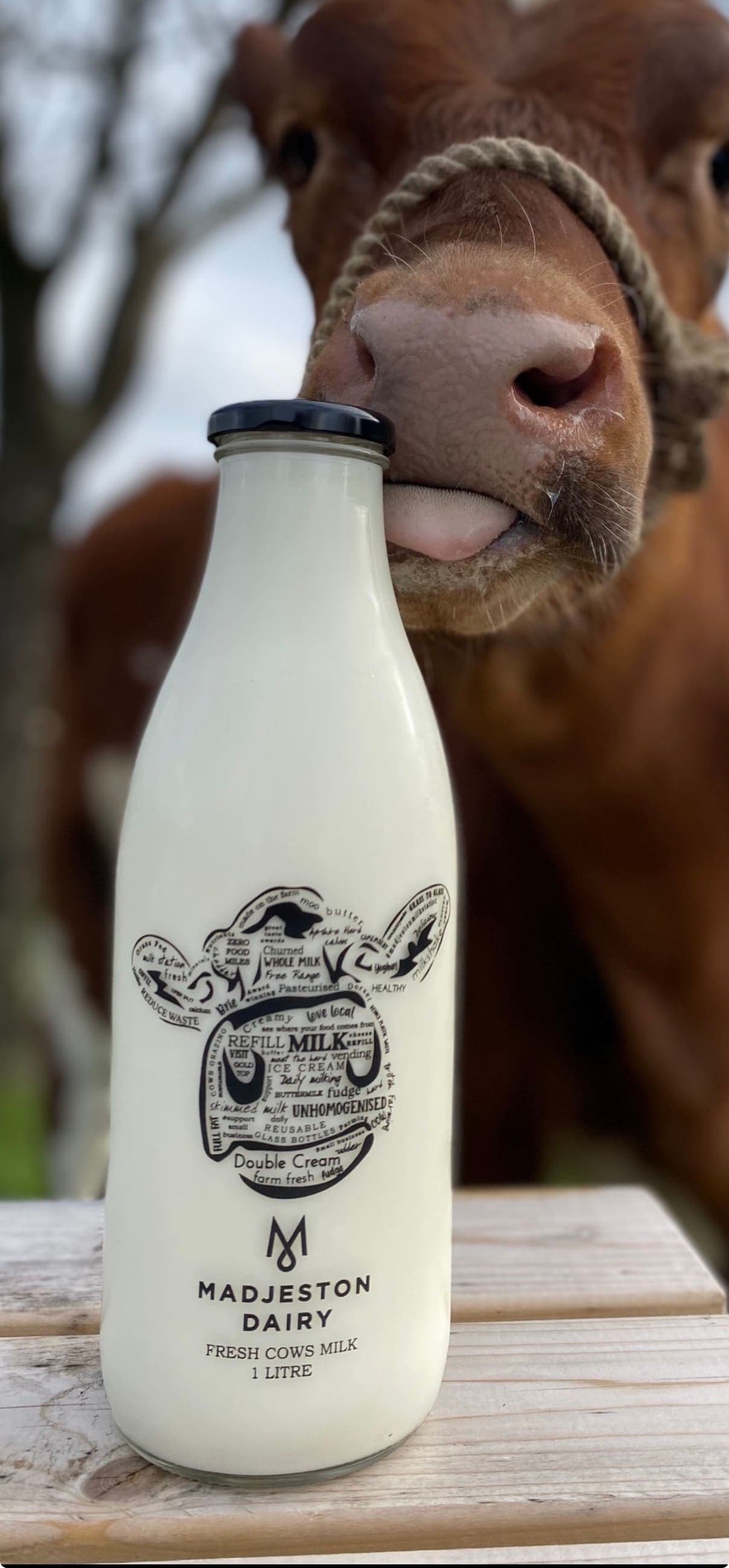 Madjeston Animal Park