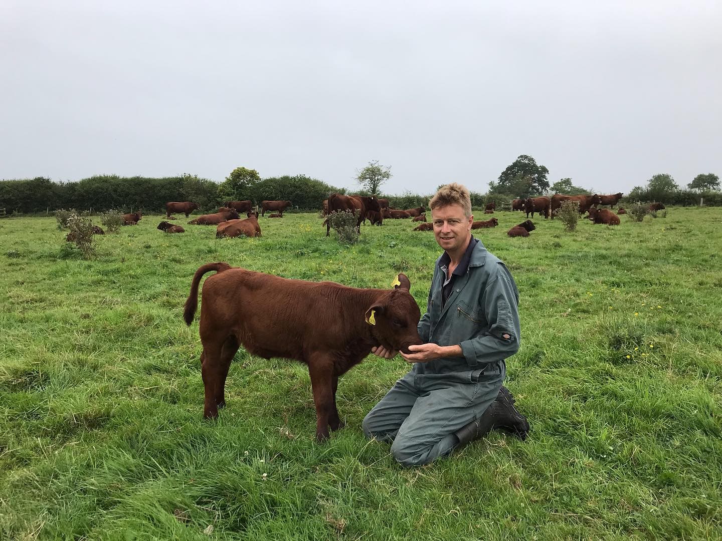 Primrose Organic Produce — image 3