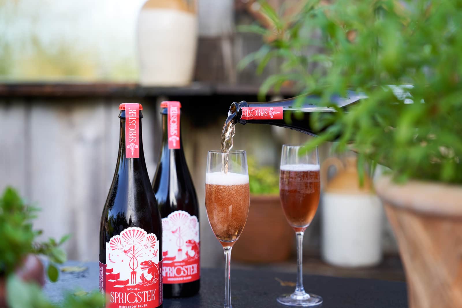 Pythouse Kitchen Garden — image 3